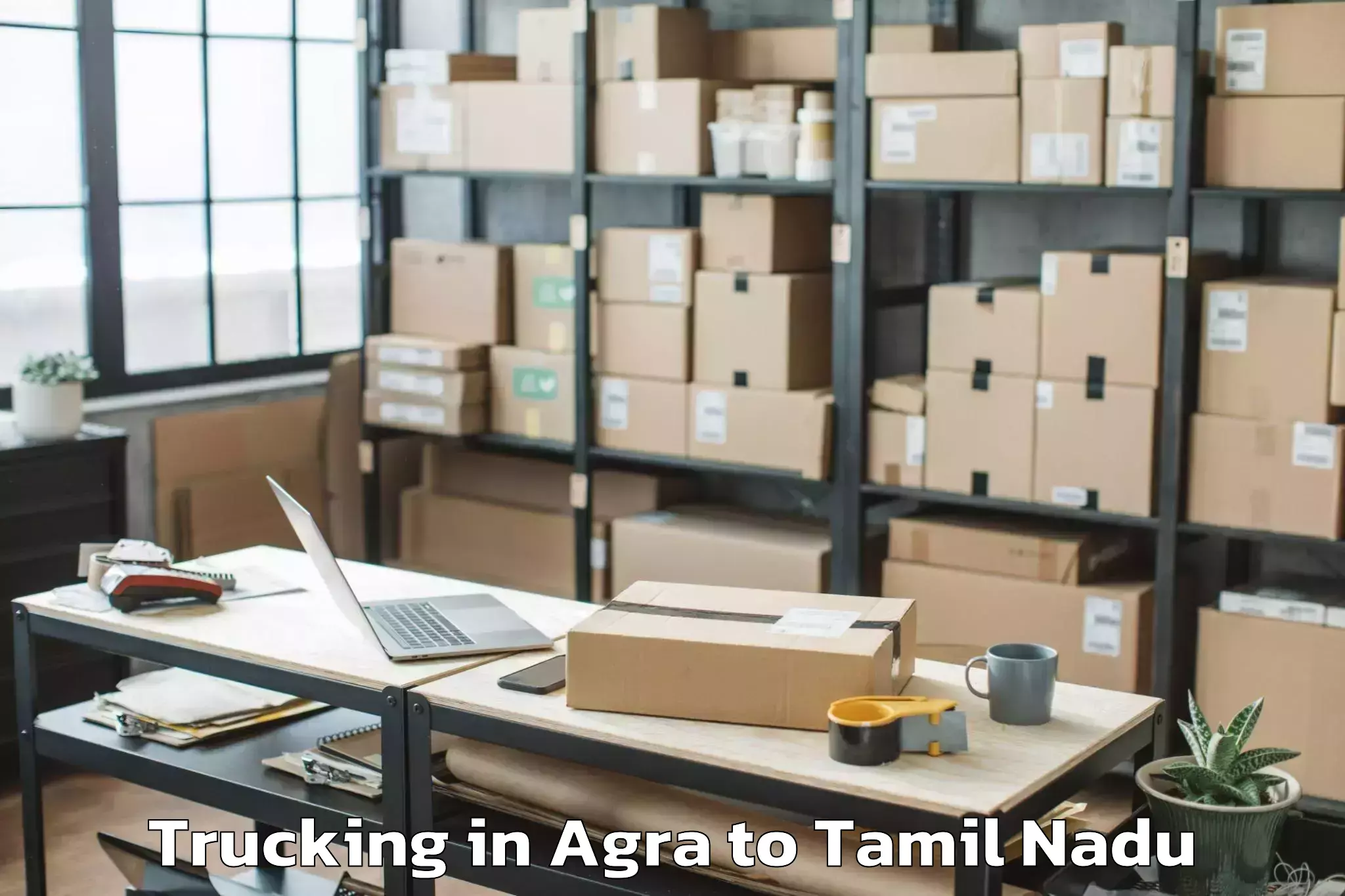 Professional Agra to Iluppur Trucking